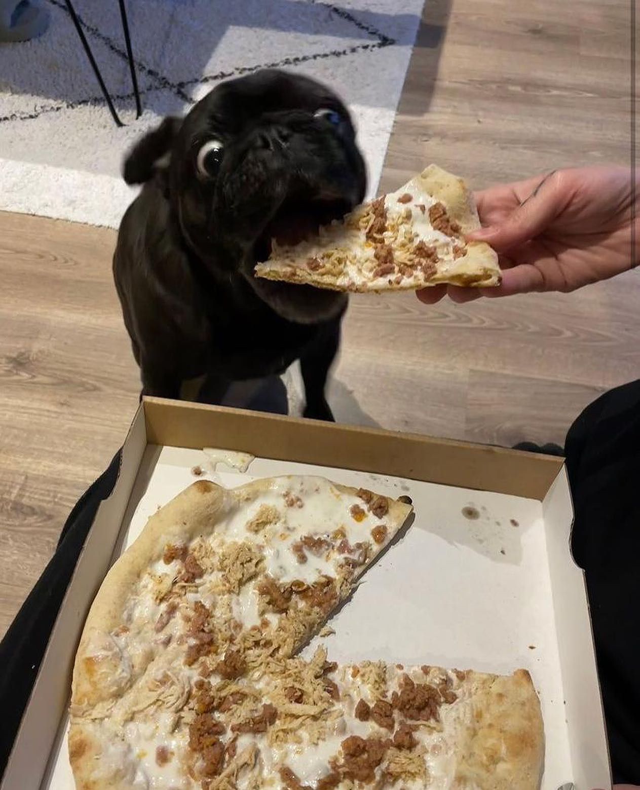 Guaupizza
